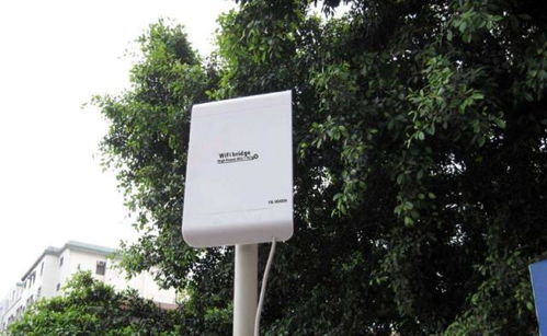 手机显示WiFi与WLAN是一样的？其实它们有3点不同，最好别小看